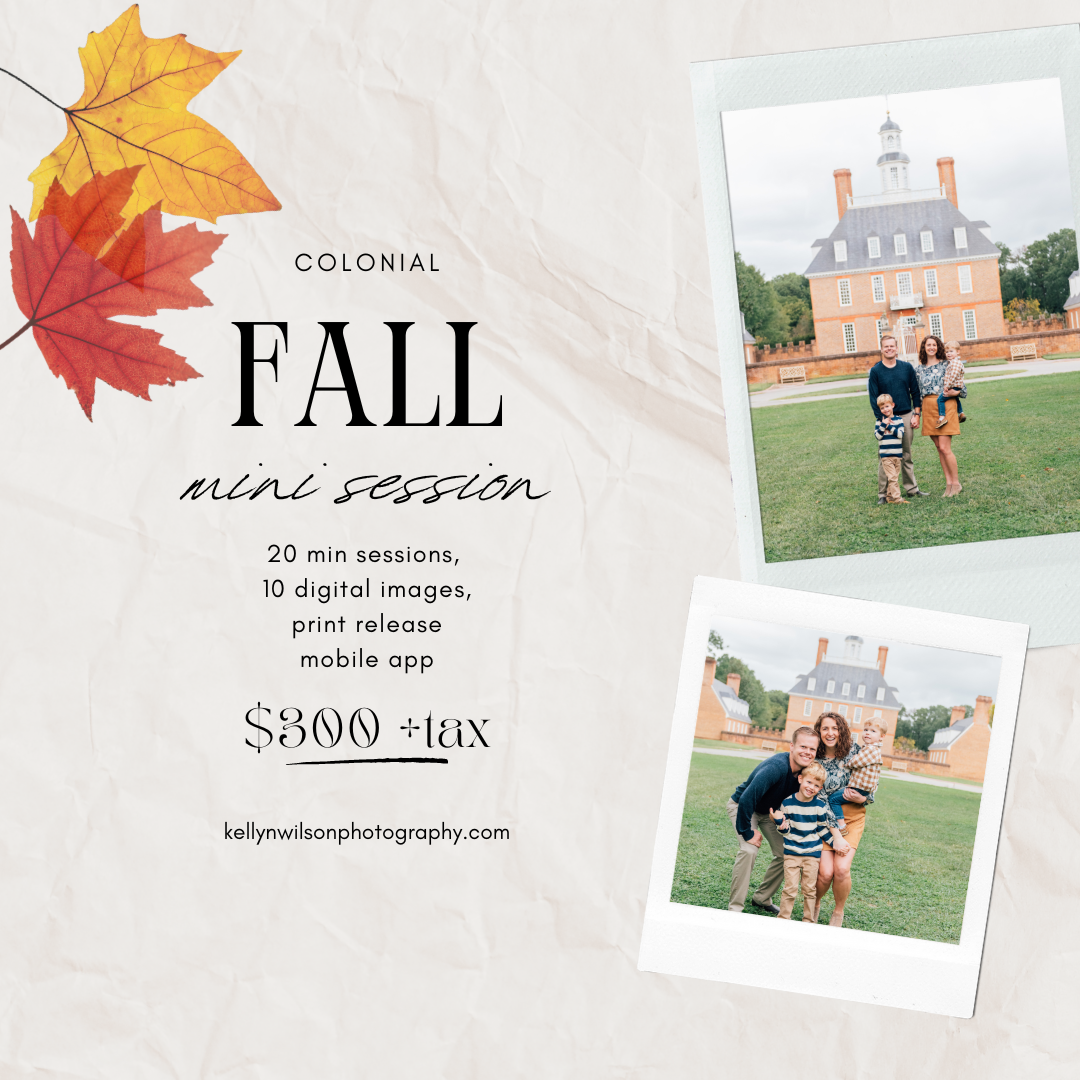 2024 fall colonial minis | kellyn wilson photography llc